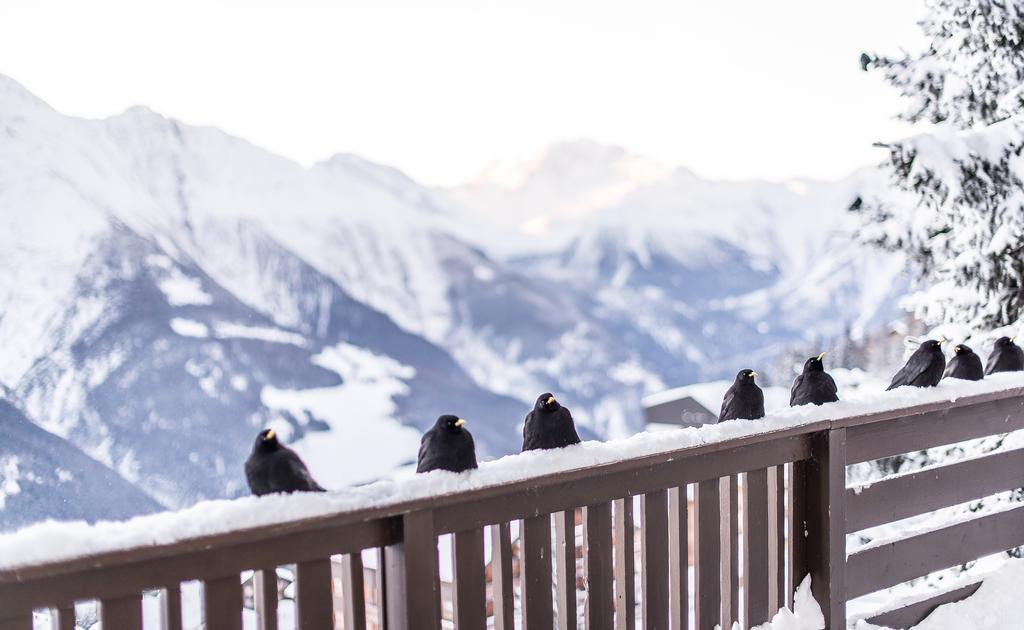 Harmony Eg Sued-Ost Apartment Bettmeralp Luaran gambar